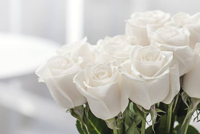Flowers and Floral Tributes